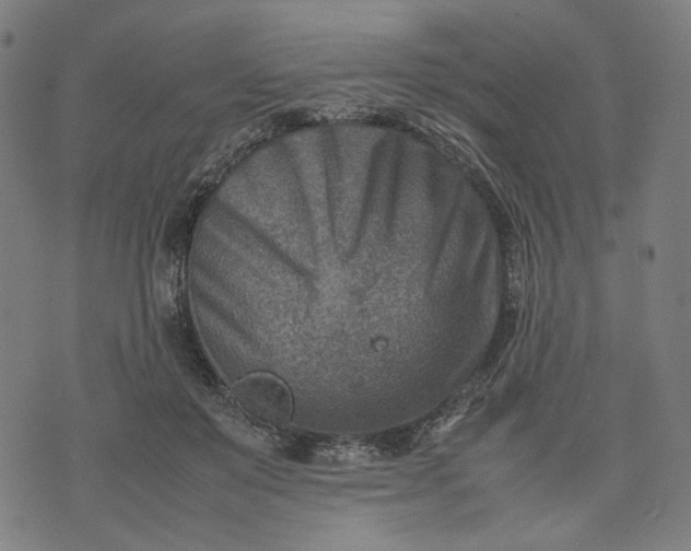 X0000074210503200609081534