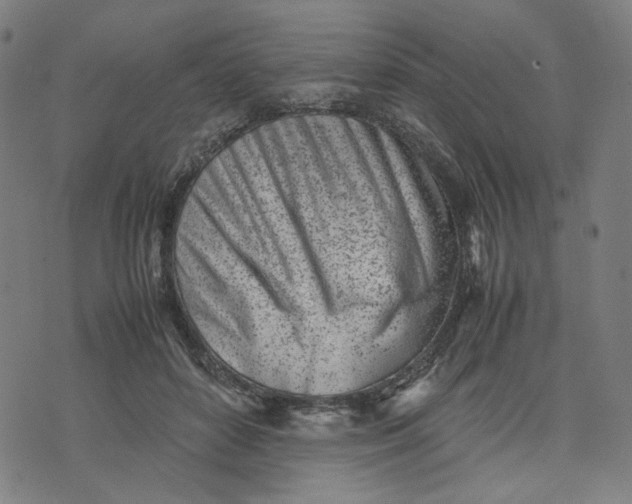 X0000074210504200609081534