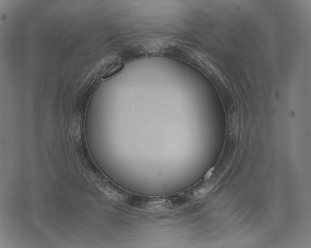 X0000074210505200609081534