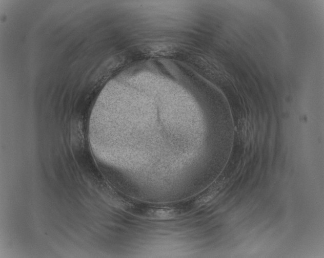 X0000074210506200609081534