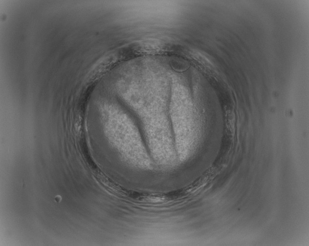 X0000074210507200609081534