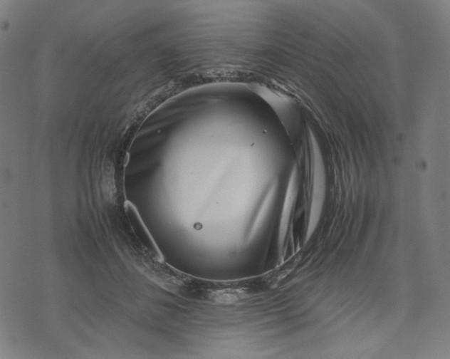 X0000074210508200609081534