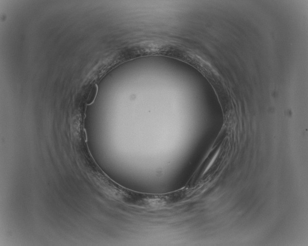 X0000074210509200609081534