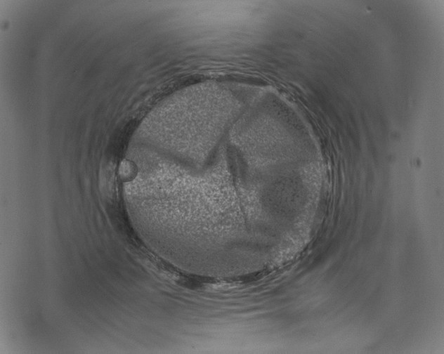 X0000074210511200609081534