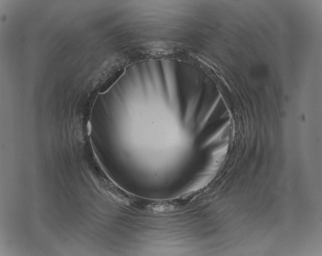 X0000074210512200609081534