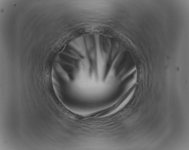 X0000074210513200609081534