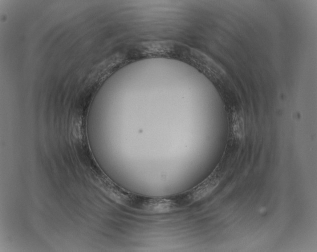 X0000074210514200609081534