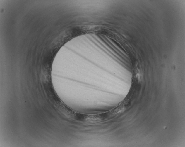 X0000074210515200609081534