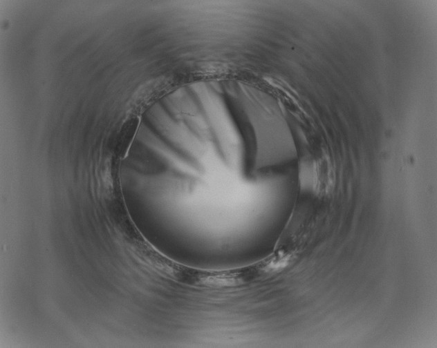 X0000074210516200609081534