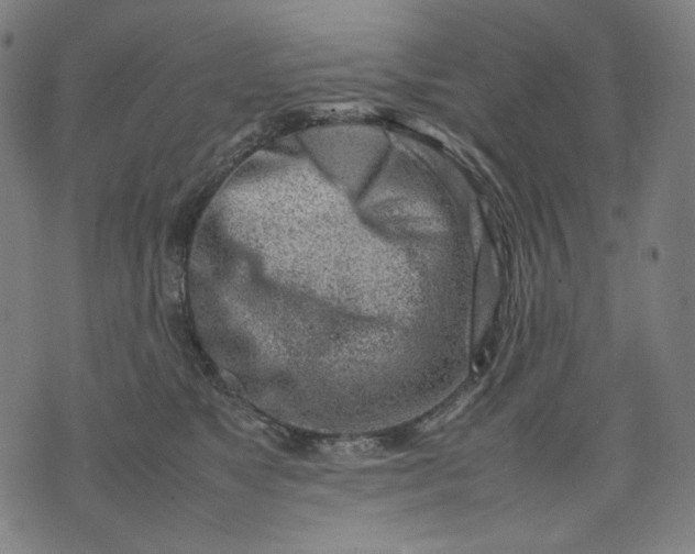 X0000074210517200609081534