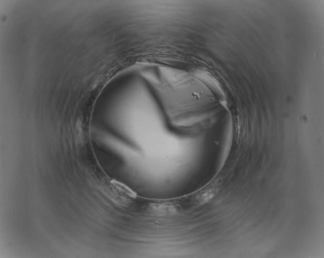 X0000074210520200609081534