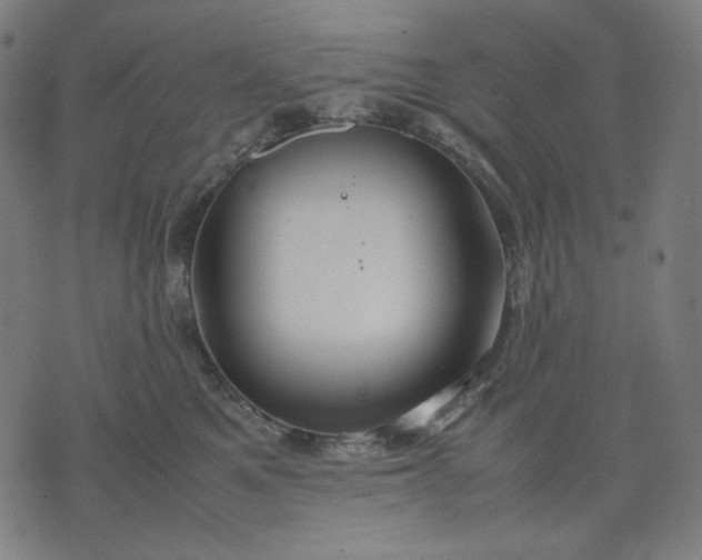 X0000074210521200609081534