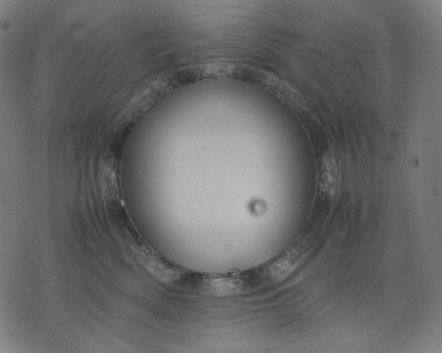 X0000074210522200609081534