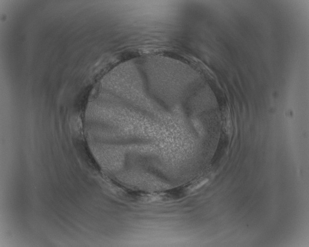 X0000074210523200609081534