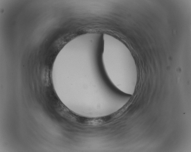 X0000074210525200609081534