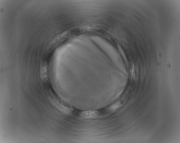 X0000074210526200609081534