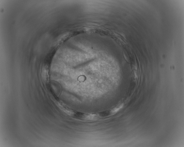 X0000074210527200609081534