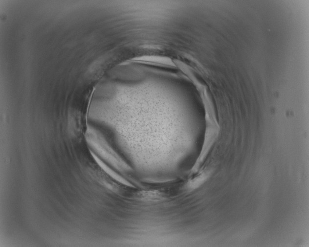 X0000074210528200609081534