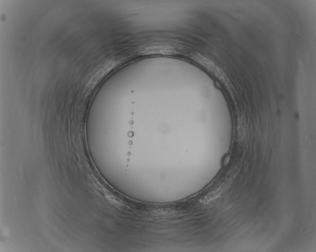 X0000074210529200609081533