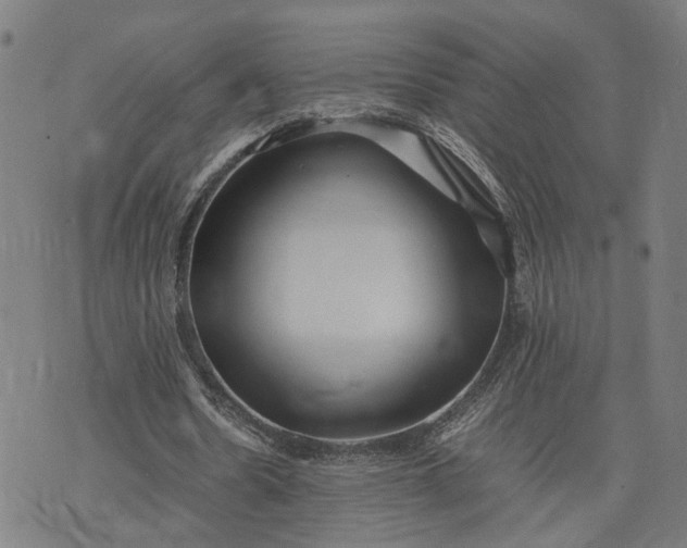 X0000074210530200609081533