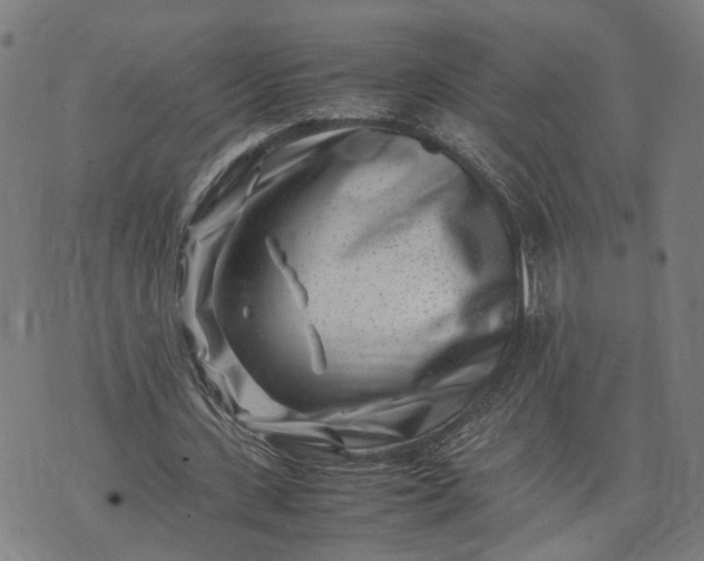 X0000074210531200609081533