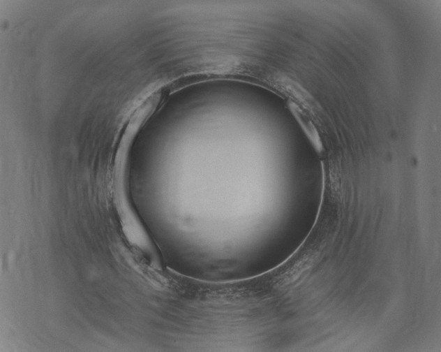 X0000074210532200609081533