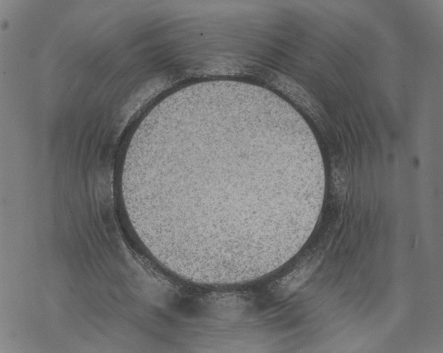 X0000074210534200609081533