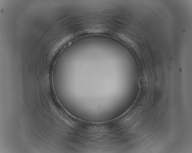 X0000074210535200609081533