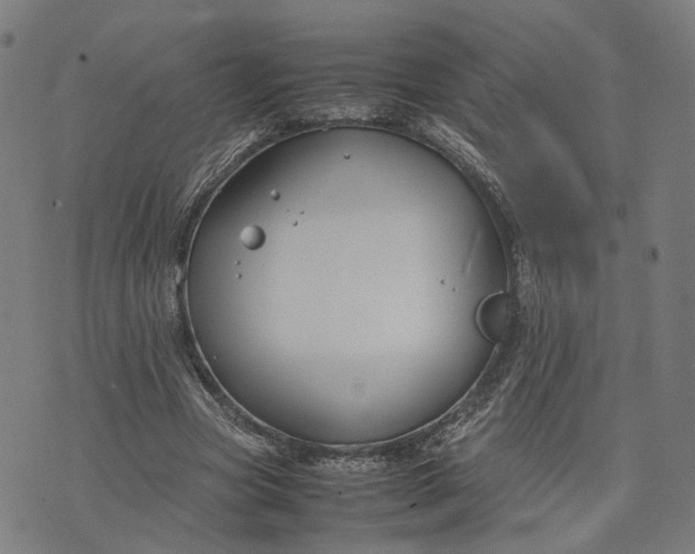 X0000074210537200609081533