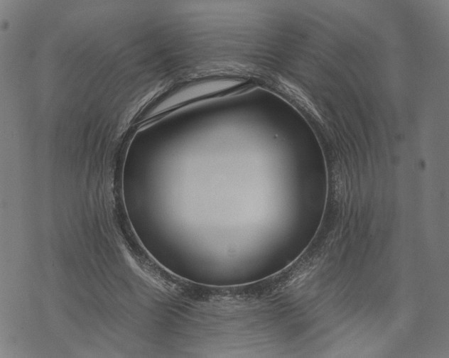 X0000074210538200609081533