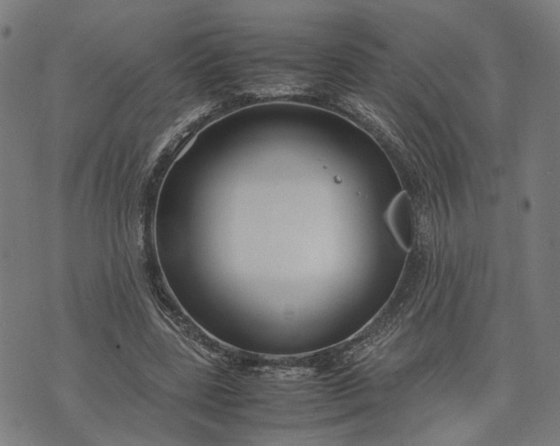 X0000074210539200609081533