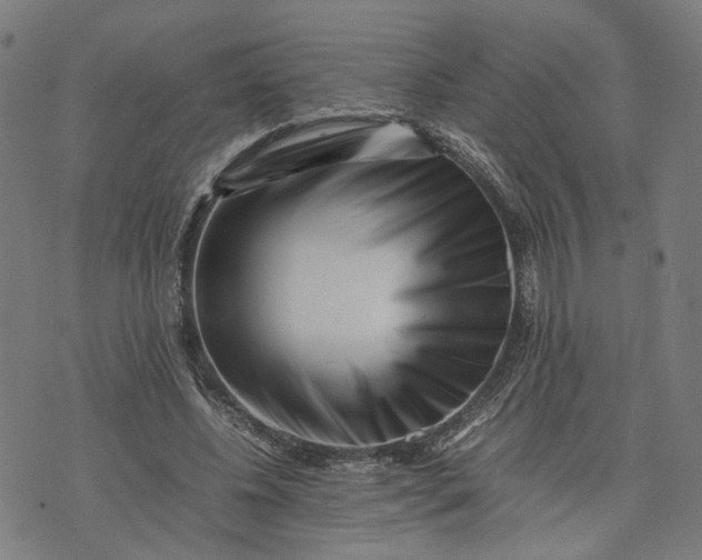 X0000074210540200609081533