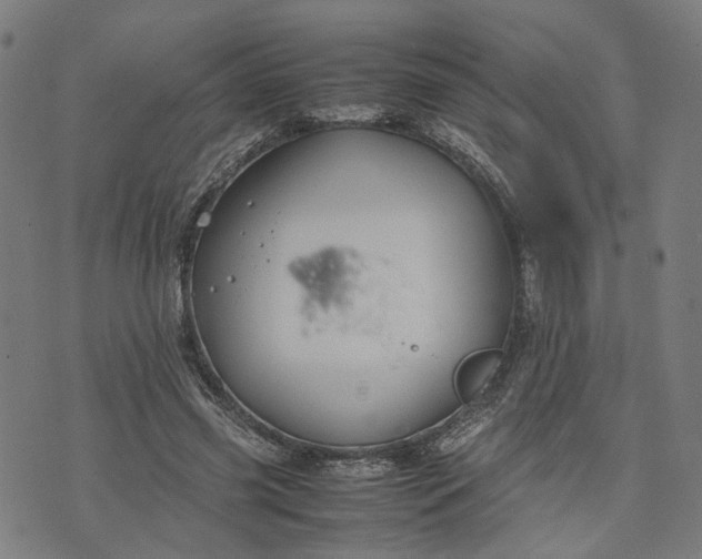 X0000074210541200609081533