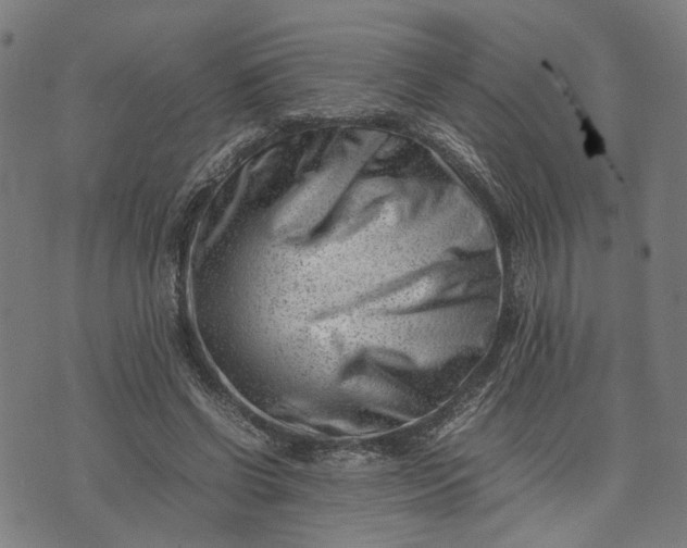 X0000074210542200609081533