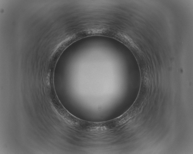 X0000074210543200609081533