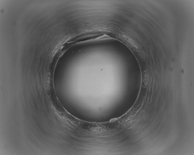 X0000074210544200609081533