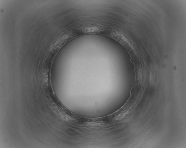 X0000074210545200609081533