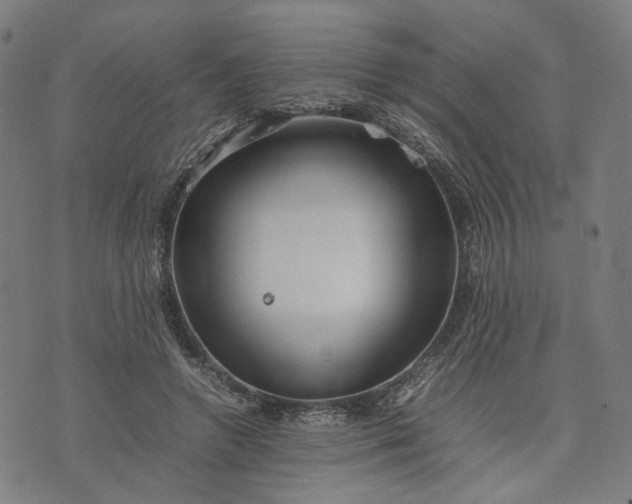 X0000074210546200609081533