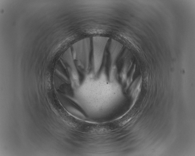 X0000074210547200609081533