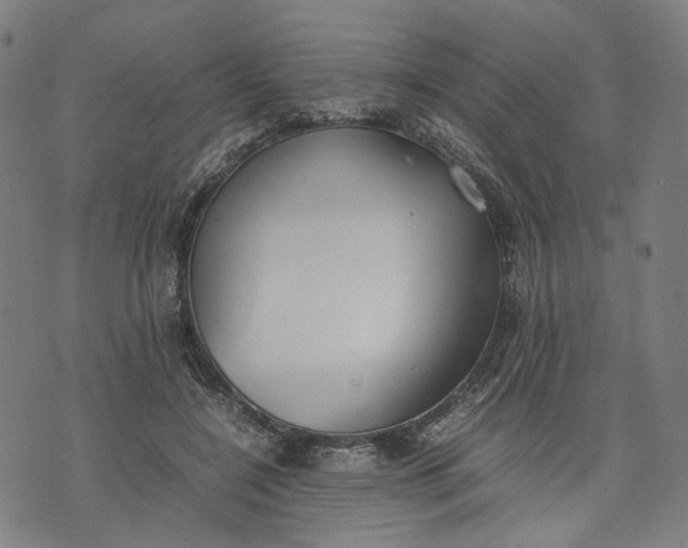 X0000074210548200609081533