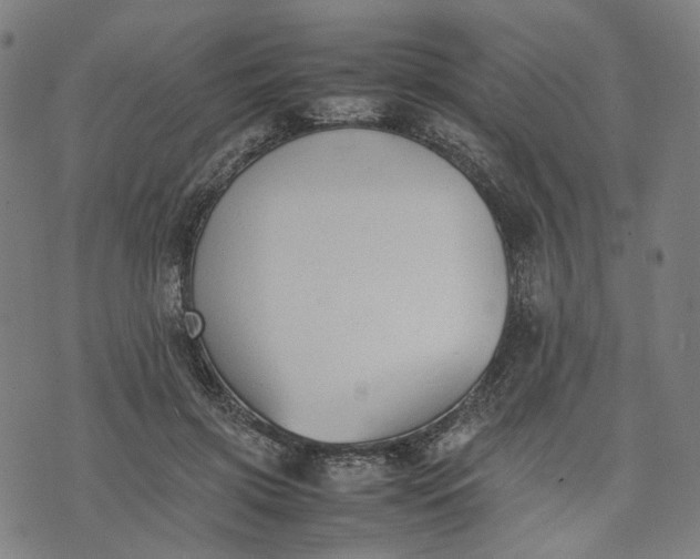 X0000074210549200609081533