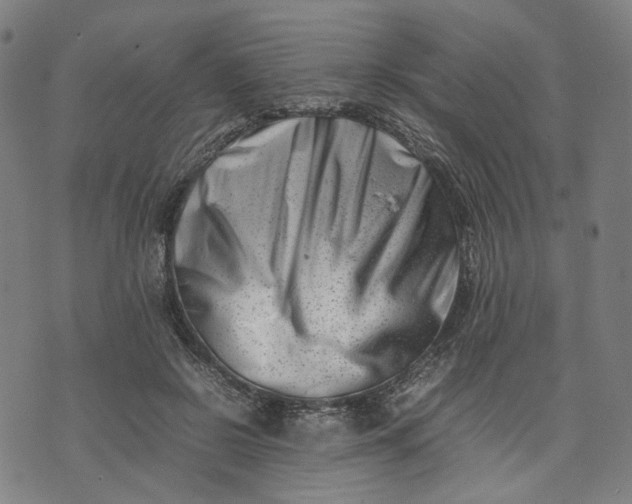 X0000074210550200609081533