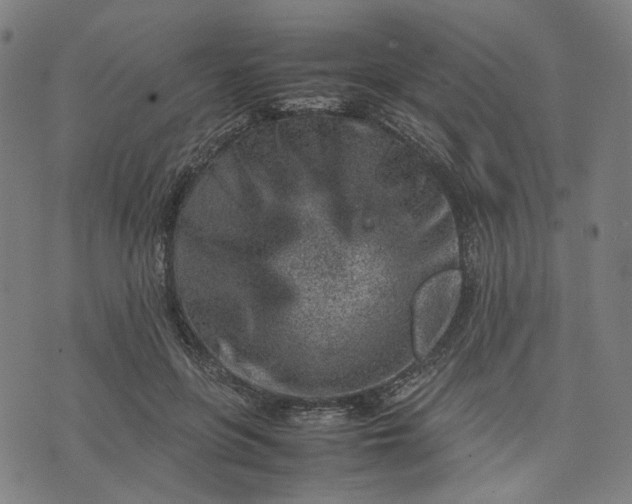 X0000074210551200609081533