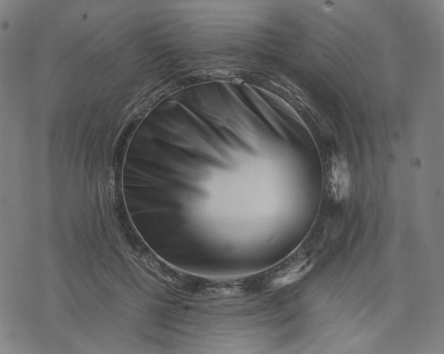 X0000074210552200609081533