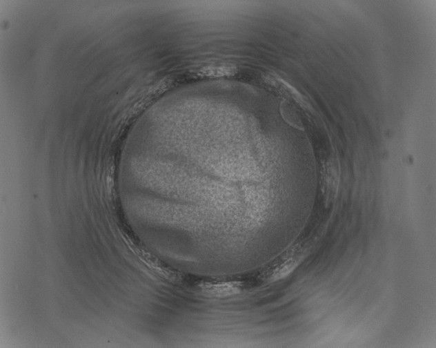 X0000074210553200609081533