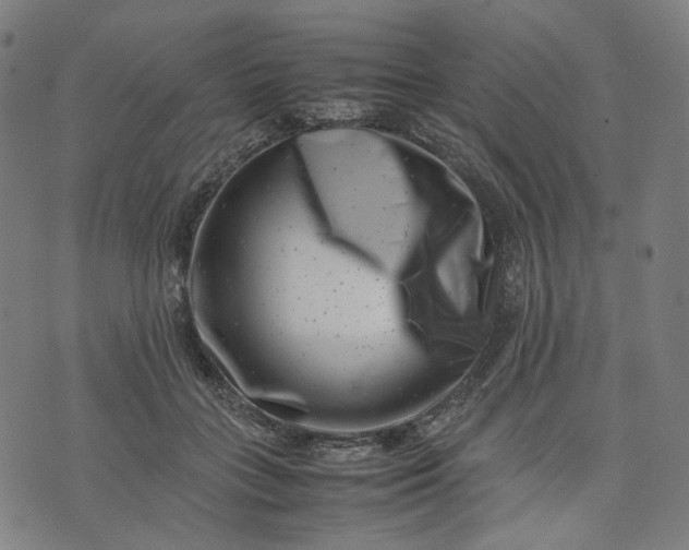 X0000074210555200609081534