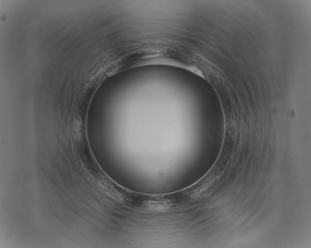 X0000074210556200609081534