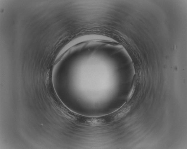 X0000074210558200609081534