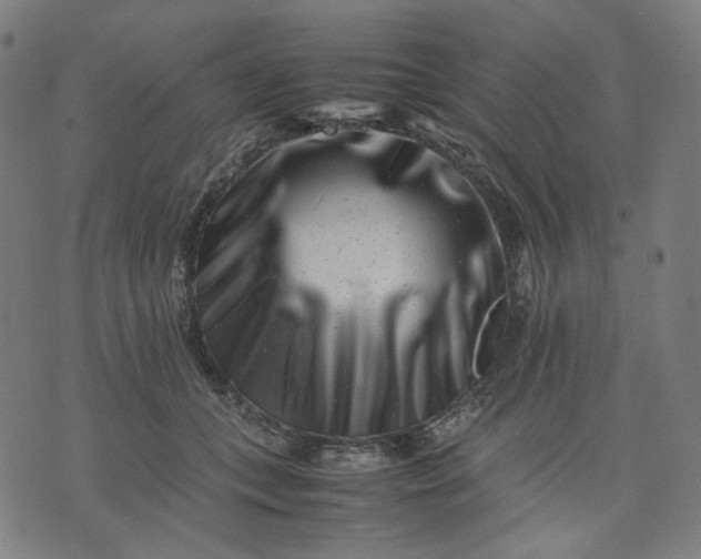 X0000074210559200609081534