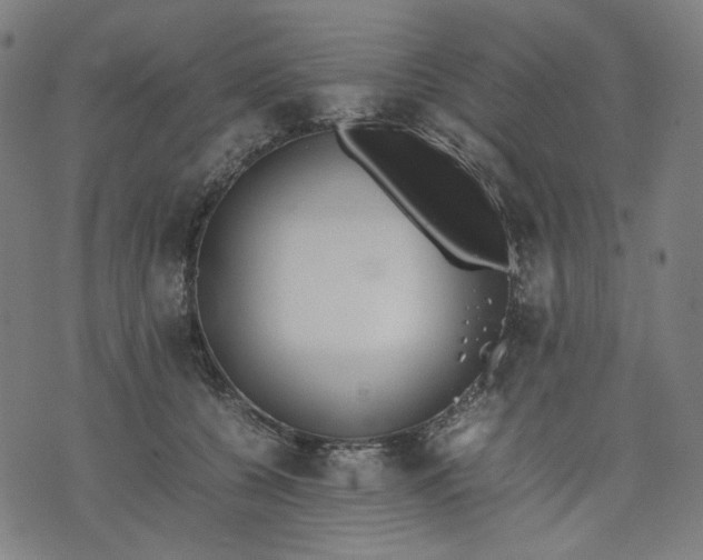 X0000074210560200609081534